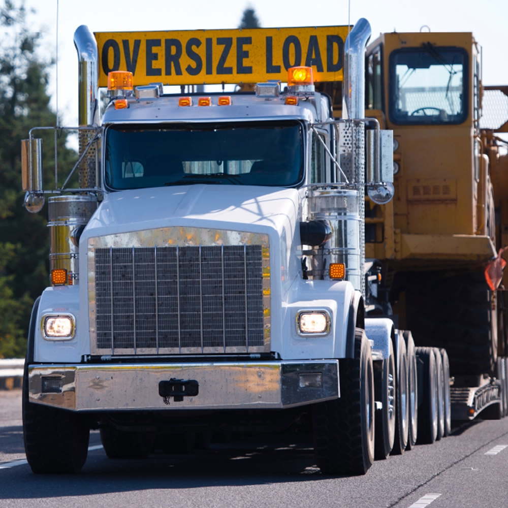 Cargo logistics service