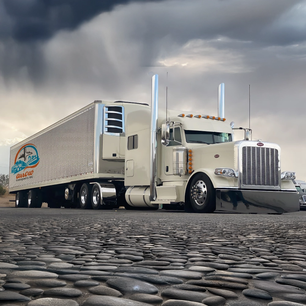 Cargo logistics service